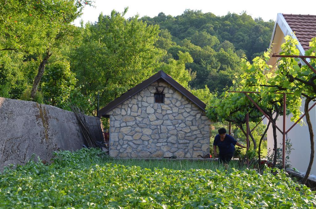 Country House Djurisic Virpazar Luaran gambar
